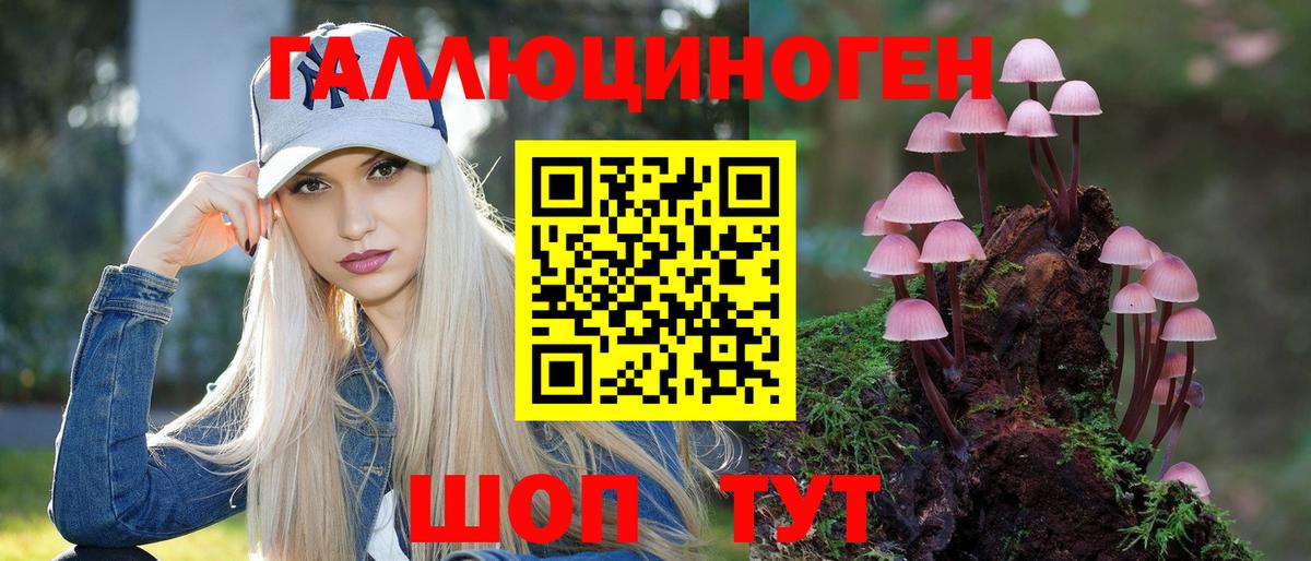 Галлюциногенные грибы Psilocybine cubensis  Вход с VPN  Галлюциногенные грибы прущие грибы  Кизилюрт 